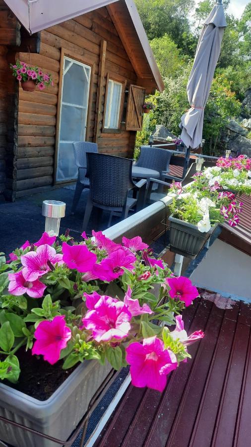 Mali Raj Apartmani Cetinje Luaran gambar